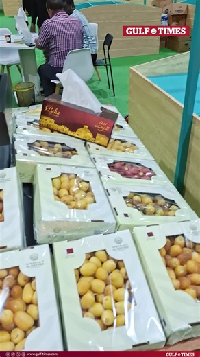 The 9th Local Dates Festival started at Souq Waqif on Tuesday with the participation of more than 110 local farms. The festival is held at the southern corner of Souq Waqif from July 23 to August 3.Organised by Souq Waqif Management in cooperation with the Agricultural Affairs Department of the Ministry of Municipality, the festival is held in an air-conditioned tent. The festival is open to the public from 4pm to 9pm. On Friday, the festival is held from 4pm to 10pm. 📹Thajudheen ℹ️ visit gulf-