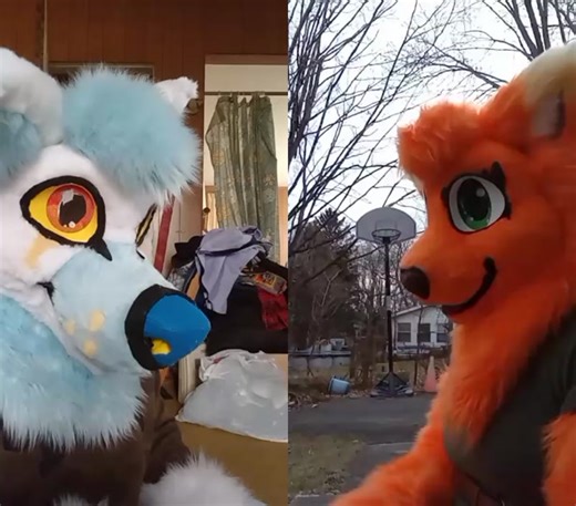 #duet with @fennecfoz.suits #fursuitersoftiktok #fursuit #furry #furryfandom #fursuiter
