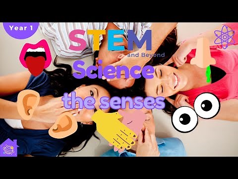 Senses | KS1 Year 1 Science | Home Learning