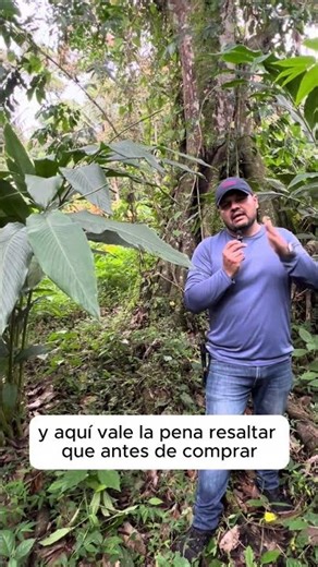 🌱 ¿Cuánta SEMILLA de Cardamomo se necesita para 1 Hectárea? (No cometa este error).