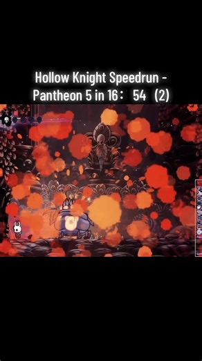Hollow Knight Speedrun: Pantheon 5 in 16:54