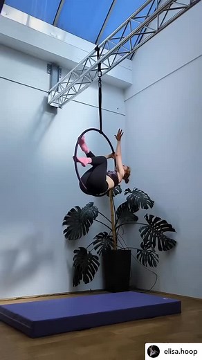 769 reactions · 59 shares | Beautiful bird of paradise from @elisa.hoop! 謹 #aerialhooptricks | Aerial Hoop Tricks | Facebook