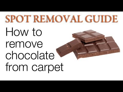 How to Clean Chocolate from a Carpet