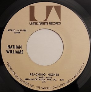 Nathan Williams - Reaching Higher / What Price