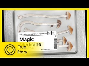 Can magic mushrooms cure depression? - True Story Documentary Channel