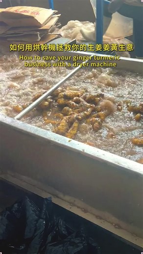 Automated Ginger and Turmeric Processing Equipment