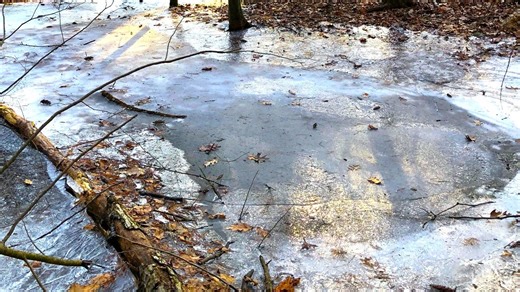 Some of the best places for walking south of Boston for families and dog owners