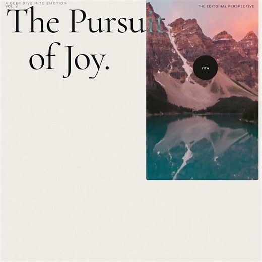 "pursuit of joy website" by Leon Lin