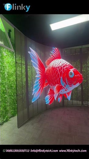 Curved Transparent LED Display