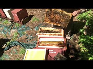 Splitting the Splits