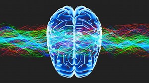 Boost your memory with these neuroscience-backed tips