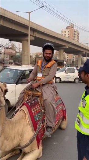 Expert Camel Rider with 10 Years Experience Shares Top Tips