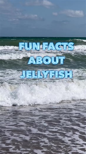 Interesting Jellyfish Facts: Exploring the Fascinating World of Jellyfish