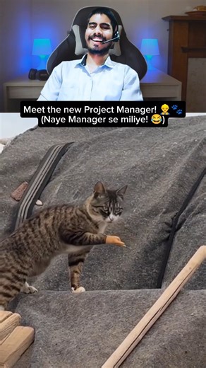 Sanjay Rawat on Instagram: "The video features a charismatic tabby cat staging a hilarious "human-hand" performance that has completely fooled and entertained the internet. The cat appears with a tiny, realistic human hand attached to its paw, which it uses with impeccable timing to mimic a "high-five" or a wave. The feline puts on a confused yet theatrical display, staring at its new limb and moving it in sync with the human's gestures, creating a surreal and laugh-out-loud moment. Posted by a