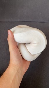 1.4K views | _Każdy lubi białaski #pytonkrolewski #regiusballphyton #PyTorch #REGIUS #ballpythonmorphs #ballpythonbreeder #ballpythonsoftiktok #ballpythons #pythonregius | Regiusso hodowla pytonow | Facebook