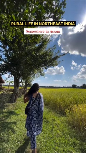 In the Northeast of India, every village is a story waiting to be lived.💚 🌾In Assam, the journey itself is the destination. One moment you’re crossing rivers and bamboo bridges, and the next you’re surrounded by paddy fields stretching all the way to the horizon. Away from the city noises, in the rural world of Assam, the land whispers stories and every view feels like a photograph waiting to be taken.😍 🎥 @satabdibaruah capturing the rural life of Assam & Northeast.❤️ 📩DM/Contact us for you