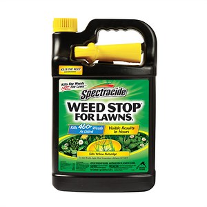 Spectracide Weed Stop for Lawns, Ready-to-Use Formula, 1 Gallon - Walmart.com