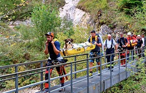 Hund stürzt ab und wird schwer verletzt: Rettungsaktion im Berchtesgadener Land