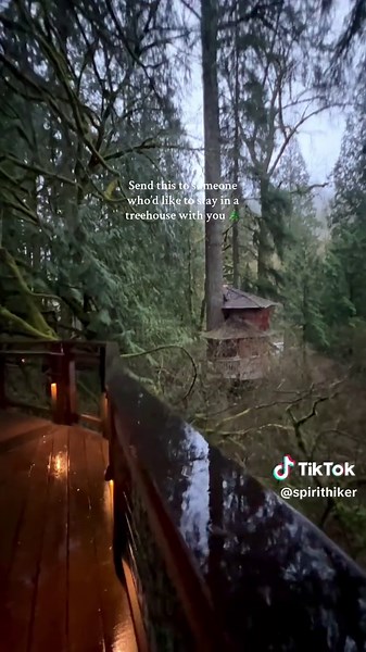 Can you imagine waking up here? 🌲#treehouse This magical forest property has 7 unique treehouses you can stay overnight in! Life here is about living in the trees with the sounds of nature all around. Just the kind of reset you’ll ever need 🌲 Check out @Treehouse Point for your next adventure! . . #nature #airbnbfinds #bestof #rainyday