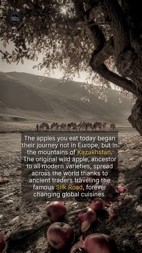 9K views · 154 reactions | Every apple in the world traces its origins back to the mountains of Kazakhstan. | The History Archives | Facebook