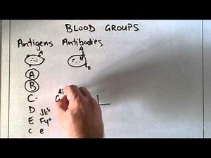 Transfusion #2 - Blood groups and the ABO system