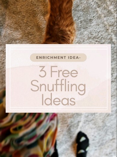 Snuffling is one of the simplest ways to meet a dog’s natural need to forage. Using their nose to search for food helps dogs slow down, focus, and engage in a way that feels instinctive and calming. It’s a form of enrichment that supports confidence, problem-solving, and emotional regulation, without tipping dogs into over-arousal. And the good news? You don’t need fancy equipment to offer it. Here are 3 free ways to encourage snuffling at home: 🐾 Scatter feeding 🐾 Hiding treats around your ho