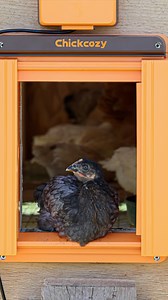 1.1K views · 40 reactions | The longer we do this, the more we...