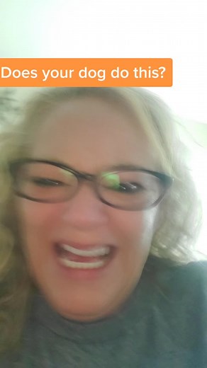 Unusual Boxer Dog Behavior Caught on Camera