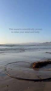 Hey, science says you should go to Grover Beach. ¯_(ツ)_/¯ 🎥: @staygroverbeach | Visit Grover Beach