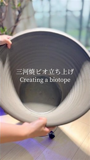 三河焼ビオトープ立ち上げ／Mikawa-yakiPottery Pond Setup