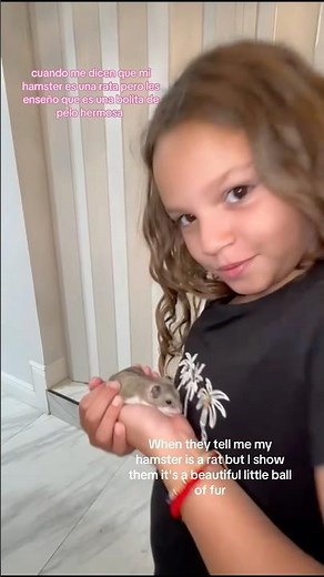 Tengo un hamster de mascots 🫶🏻💜 #mascotas #pets #hamster