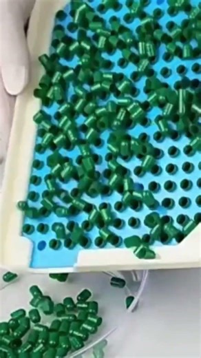 Encapsuladora Manual #0, 200 Agujeros