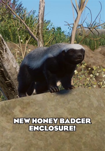 Exploring the New Honey Badger Enclosure at Elm Hill Zoo