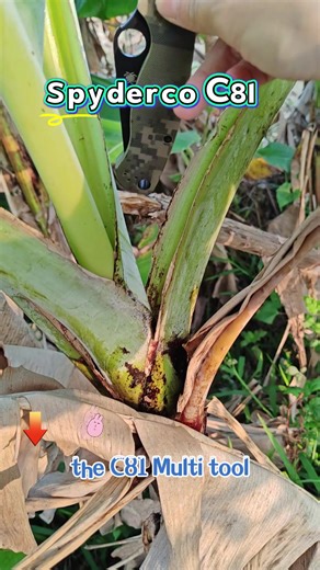 C81 Multi Tool: Ideal Folding Knife for Outdoor Use