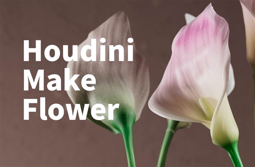 【houdini 教程】用houdini blender C4D 制作一个逼真的 马蹄莲花朵生长动画
