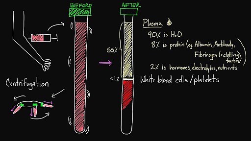 What's inside of blood?