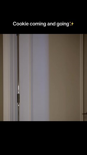 Cookie Lyon: The Queen of Empire - Unforgettable Moments and Clapbacks