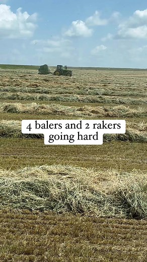 Barley hay all raked and baled up in one big day. Gooseneck Implement brought a baler with bale accumulator for us to demo, which helped get the field done! Now Jordan wants one😆. #hay #summertime #farmlife #bales #johndeere | JC Farms