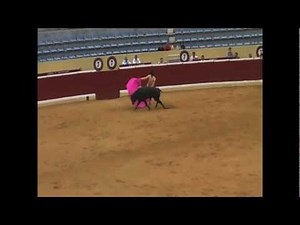 Bullfighting in Spain