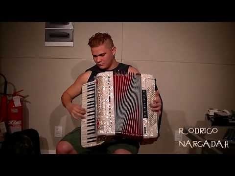 O VÔO DO BESOURO - Rodrigo Soares Accordion
