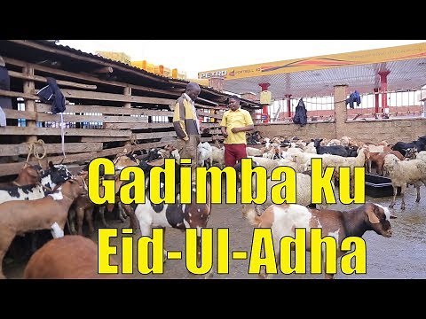 Gadimba ku Eid-Ul-Adha - Ugandan Comedy skits.