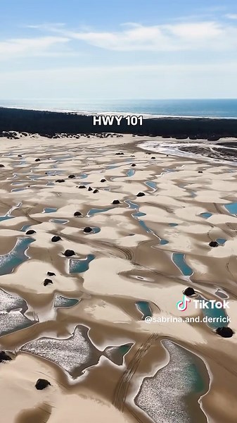 Highway 101 Road Trip🚗 In America, there exists a famous road: Highway 101. Stretching from the beaches of Southern California, through Oregon’s wild coastline, to the forests of Northern Washington. A drive that captures the true spirit of the West Coast. 🌊 Follow us for more coastal van life adventures 🚐 #hwy101 #pacificcoasthighway #highway101 #pacificcoast