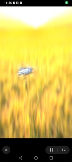 como miro las estrellas