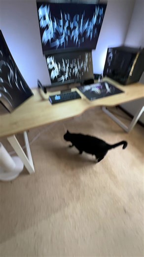 Benefits of Switching to a Dual Monitor Setup