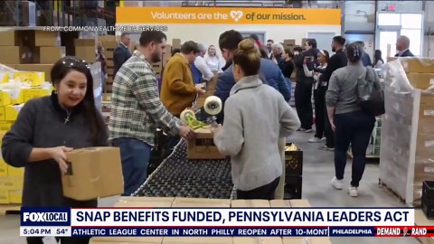 Federal judge orders full SNAP funding for November