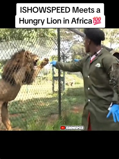 ISHOWSPEED Encounters a Hungry Lion in Africa