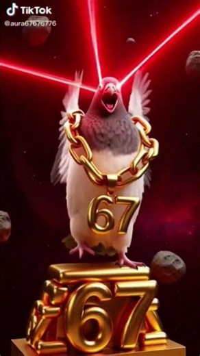 very cute pigeon dancing lasers✌