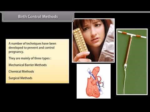 How Do Organisms Reproduce-IV Bio 4