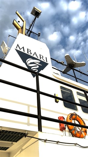 12K views · 376 reactions | Whale, whale, whale, look what the ROV...