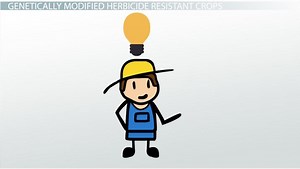 GMOs: Growing Herbicide-Resistant Crops